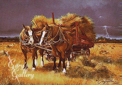 Dakota Harvest